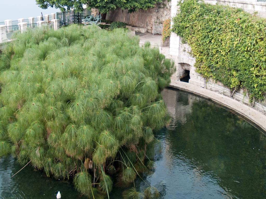 Rosa Di Ortigia Apartment Syracuse Exterior foto